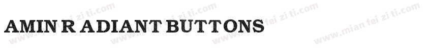 Amin Radiant Buttons字体转换